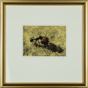 Image description is not available for 2008.018